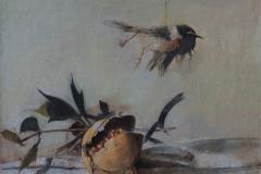 Giorgio Scalco, Pettirosso, 1972, olio su tela, 50 x 55 cm