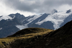 Alessandro Zaffonato, Chamois and glaciers, progetto ''WILDLIFE''