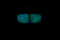 Elastic Group Of Artistic Research, A portrait of the artist as a states of mind, installazione audiovisiva site-specific, 2009