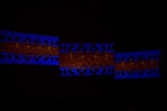 Lino Strangis, Ying Aoyun, installazione audiovisiva multicanale, stampa lambda su d-bond, 2009