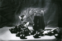 Silvio Cavedon [Natura morta], 1950-1960