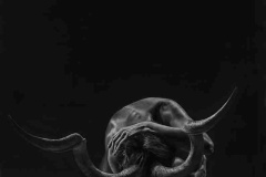 Jono Dry (Sud Africa), Exposed, matita, giclée print, 59 x 84 cm